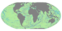 image of global downward-continued gravity