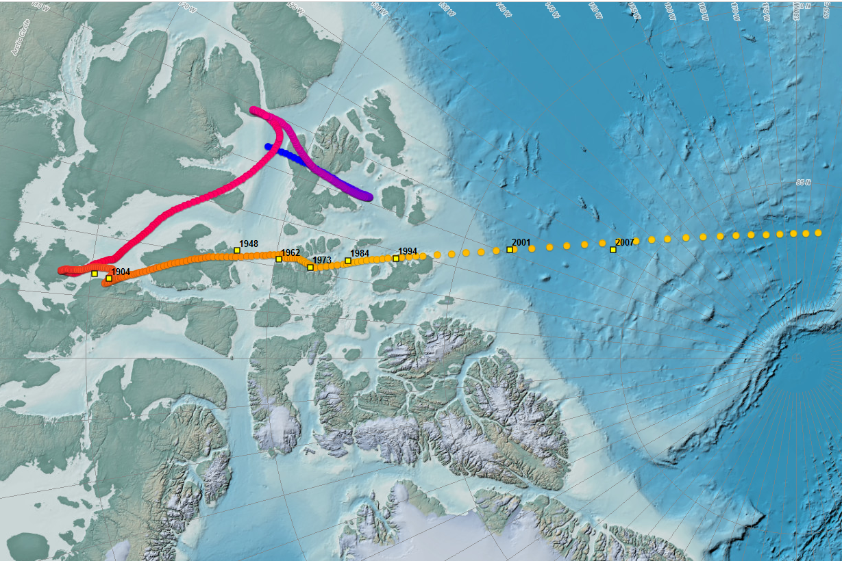 Wandering of the Geomagnetic