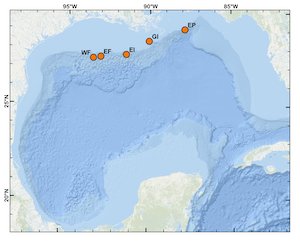 Credit: NOAA SEFSC Gulf of Mexico Moored Passive Acoustic Studies Credit: NOAA SEFSC Gulf of Mexico Moored Passive Acoustic Studies