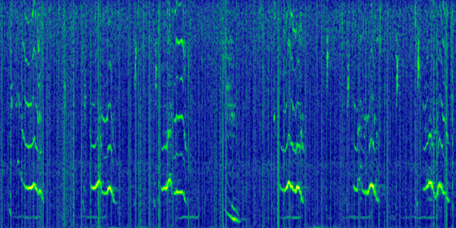 Spectogram of sound. Credit: NOAA