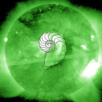 Nautilus